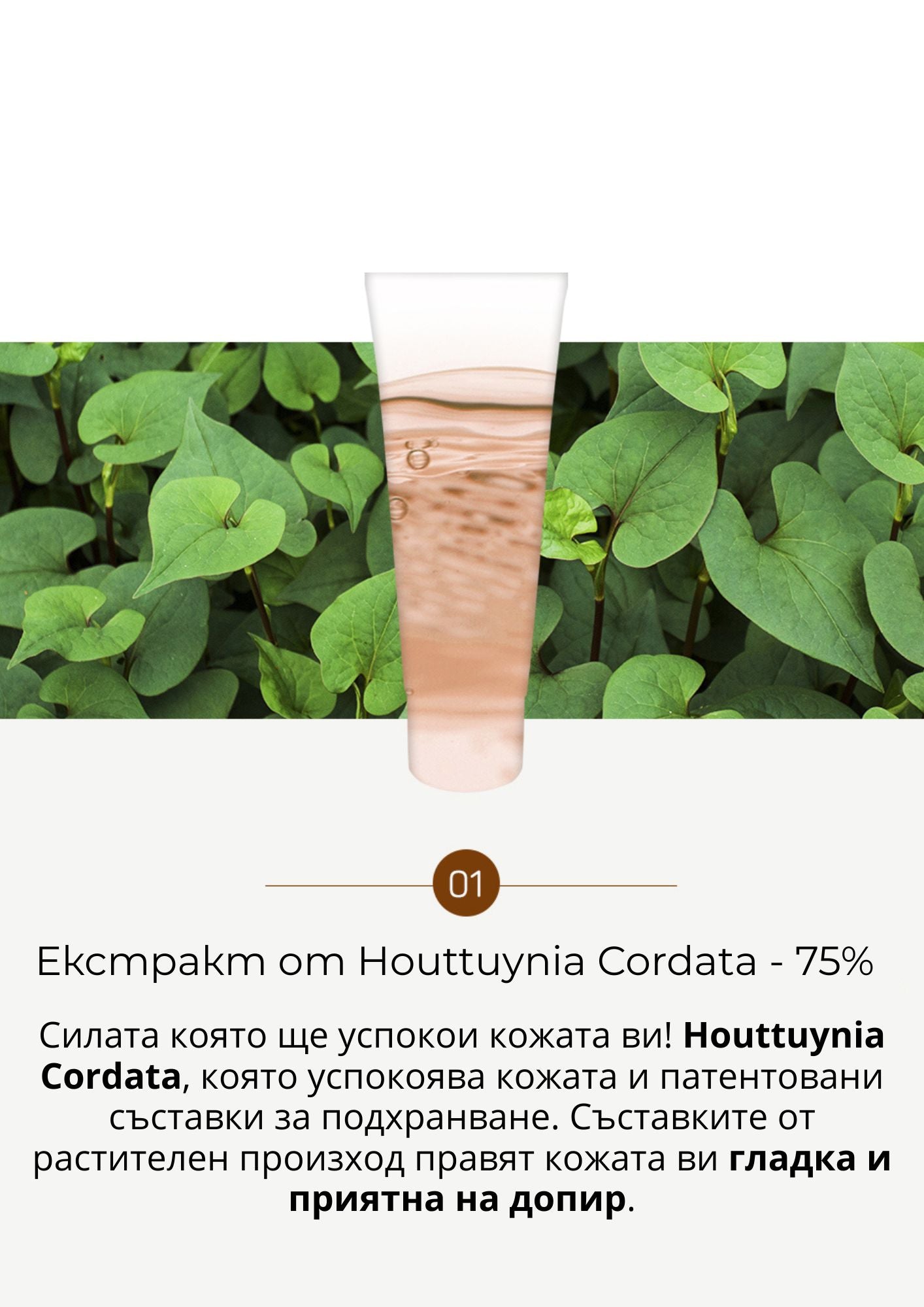 Успокояващ крем за хидратация и сияние с 75% Хотуния Chamos Blansen