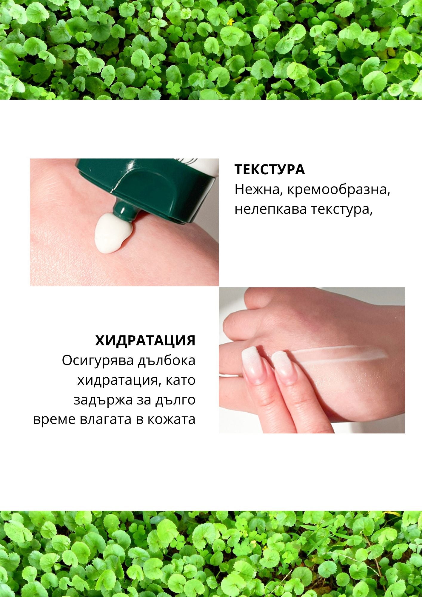 Хидратиращ и възстановяващ крем с 65% Центела Азиатика Chamos Blansen