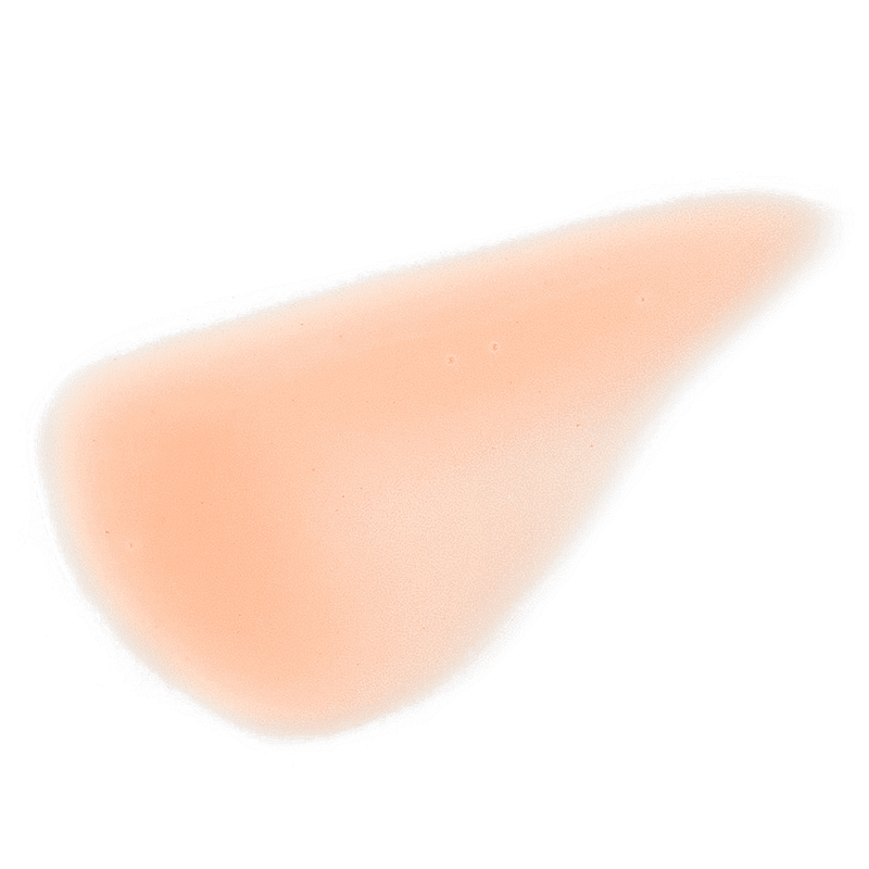 Гланц за бляскави устни Feerique Lip Gloss Vivienne Sabo