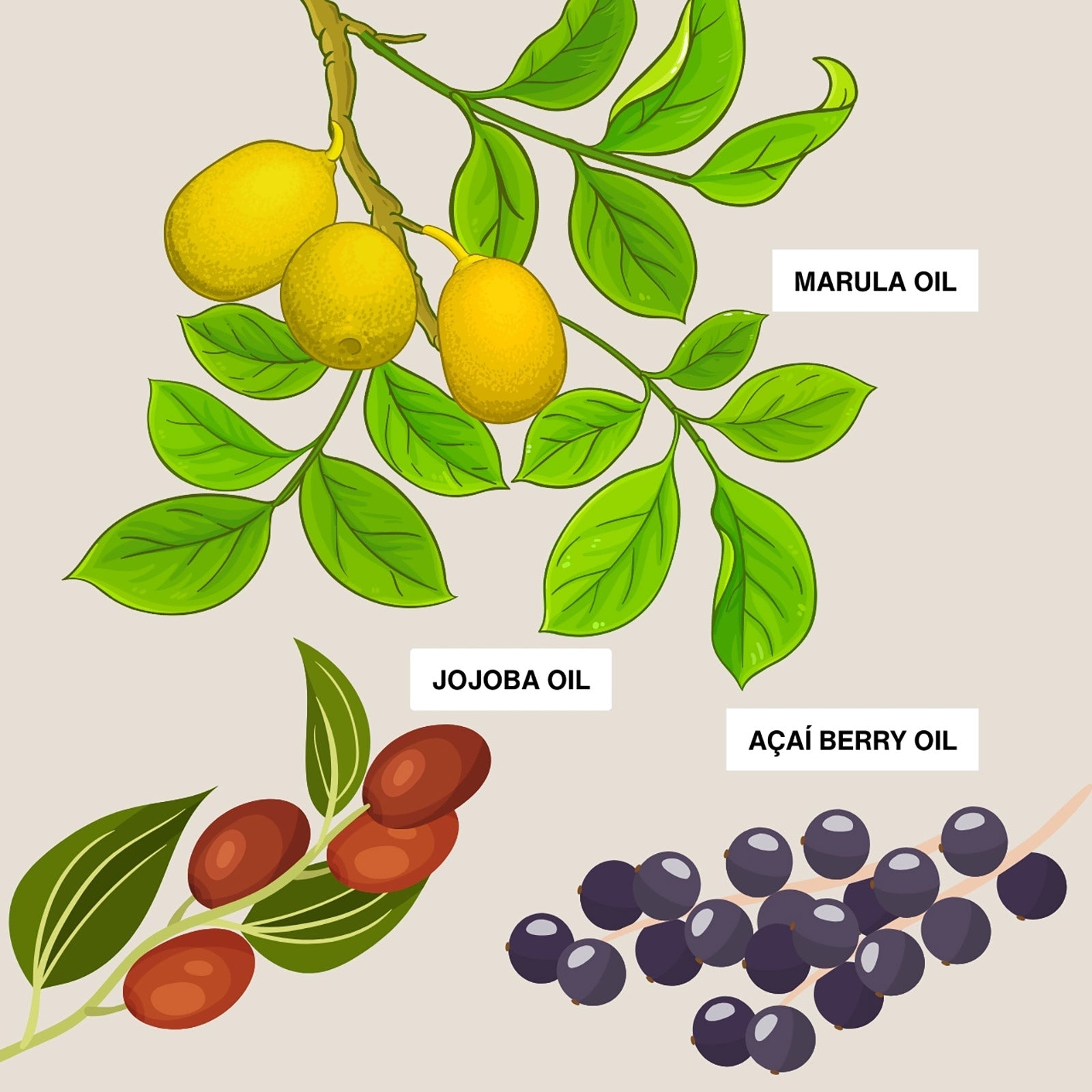 Интензивно хидратиращо мляко за тяло с масло от Марула Labor8 Marula Oil Body Milk