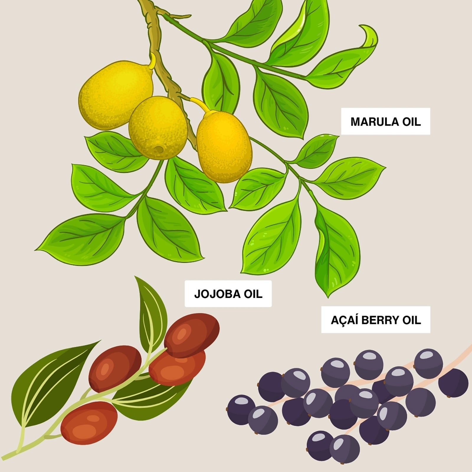 Ароматен душ гел с масло от Марула Labor8 Marula Oil Shower Gel