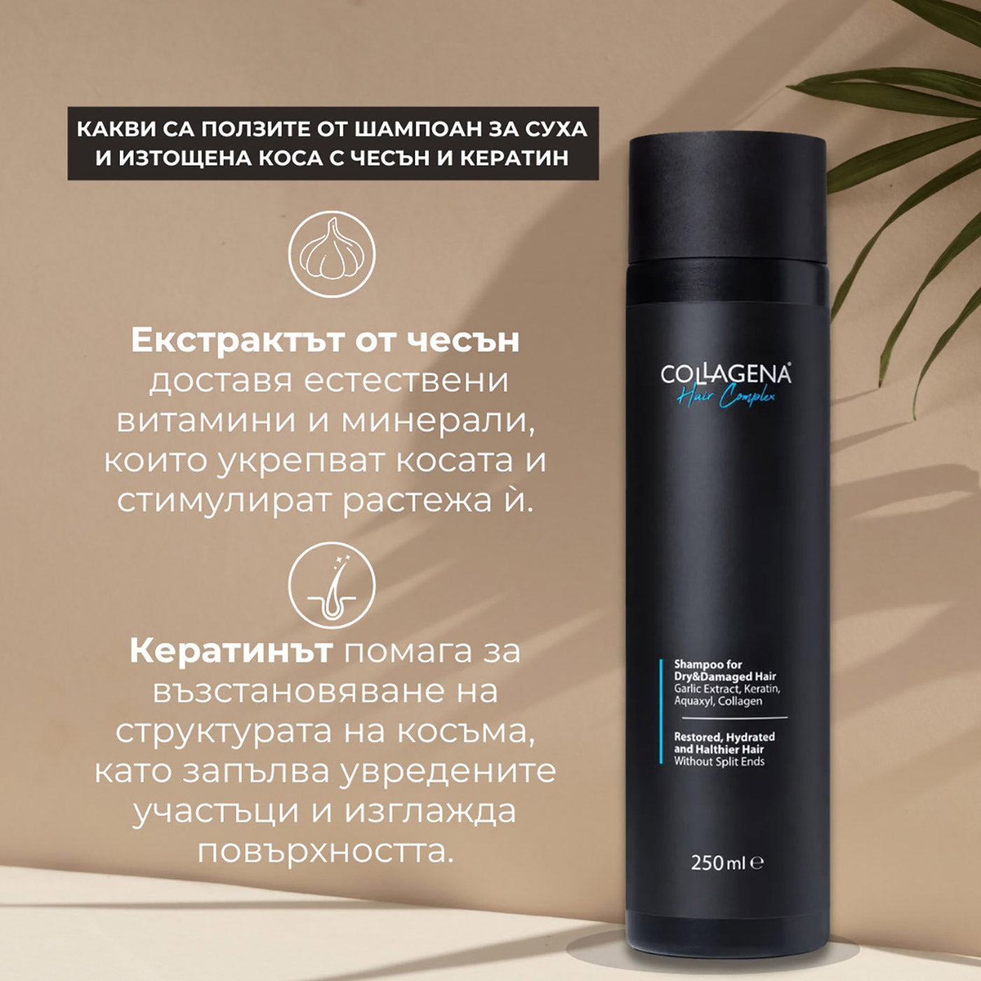 Шампоан за суха и изтощена коса с чесън и кератин COLLAGENA Hair Complex Shampoo for Dry&Damage Hair